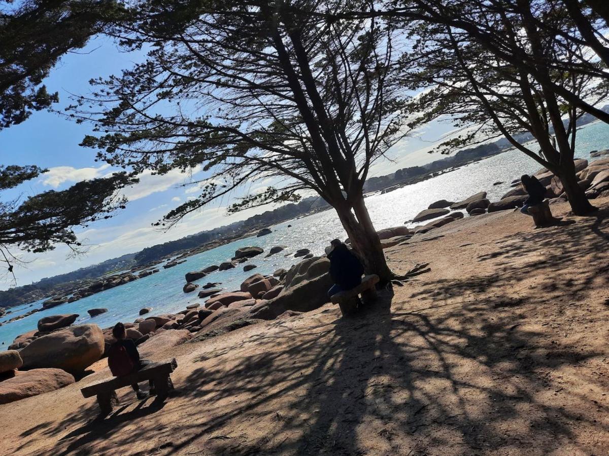 Appartement Plage De Trestraou 45M2 Perros-Guirec Exteriör bild