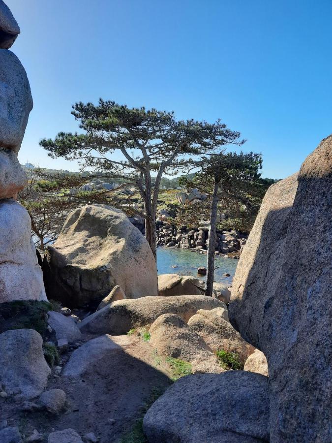 Appartement Plage De Trestraou 45M2 Perros-Guirec Exteriör bild